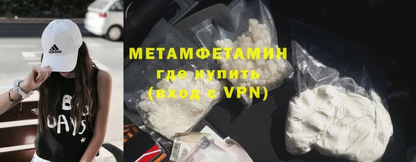 ГАЛЛЮЦИНОГЕННЫЕ ГРИБЫ Бородино
