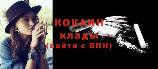 ГАЛЛЮЦИНОГЕННЫЕ ГРИБЫ Бородино