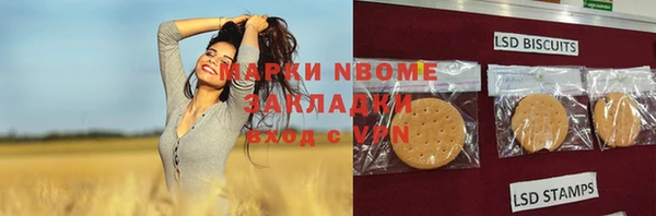 ГАЛЛЮЦИНОГЕННЫЕ ГРИБЫ Бородино