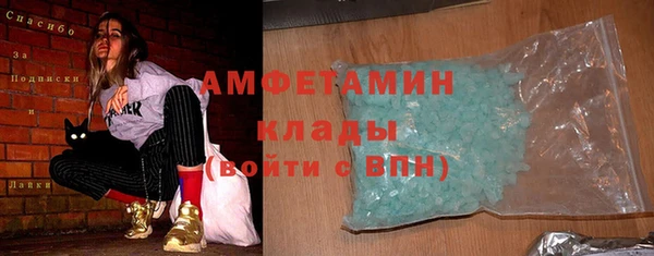 ГАЛЛЮЦИНОГЕННЫЕ ГРИБЫ Бородино
