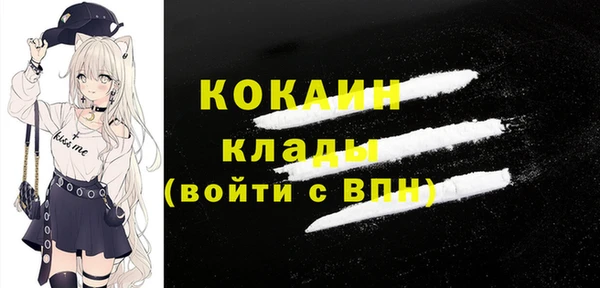 ГАЛЛЮЦИНОГЕННЫЕ ГРИБЫ Бородино