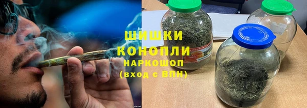 ГАЛЛЮЦИНОГЕННЫЕ ГРИБЫ Бородино