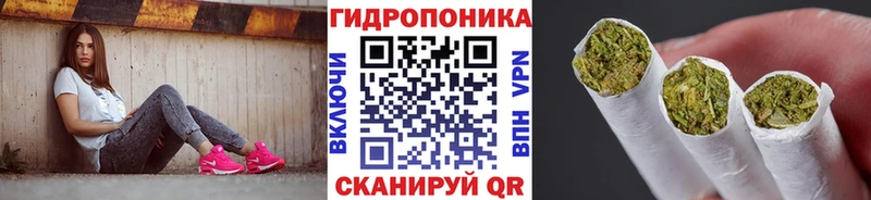 Купить  Облучье  Конопля план 